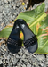Women's Aria B black waterproof slide on jelly sandals by Alexandria Brandao